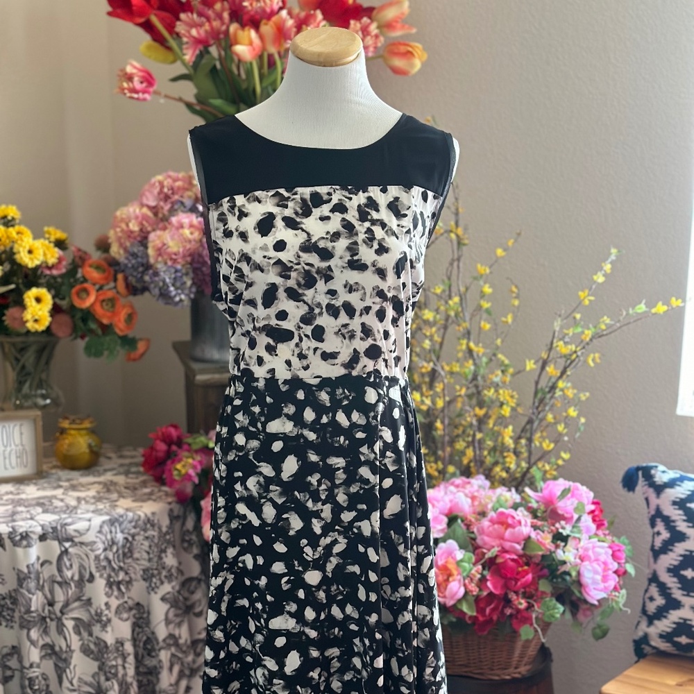 Women's Dress